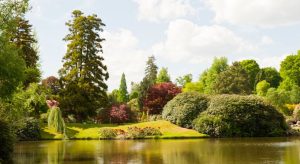 Sheffield Botanical Gardens - Things to do in Sheffield