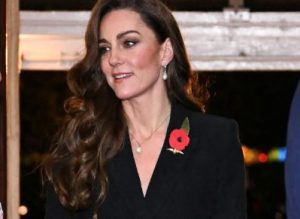 How Has Kate Middleton's Public Role and Image Evolved Over Time?